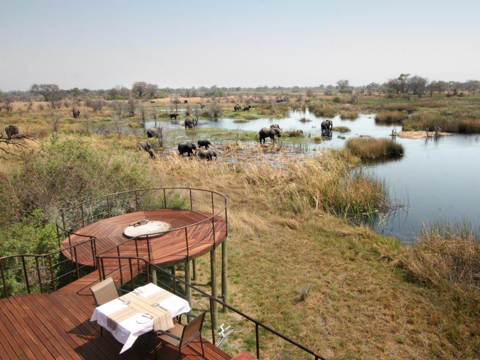 Nkasa Lupala Tented Lodge gallery