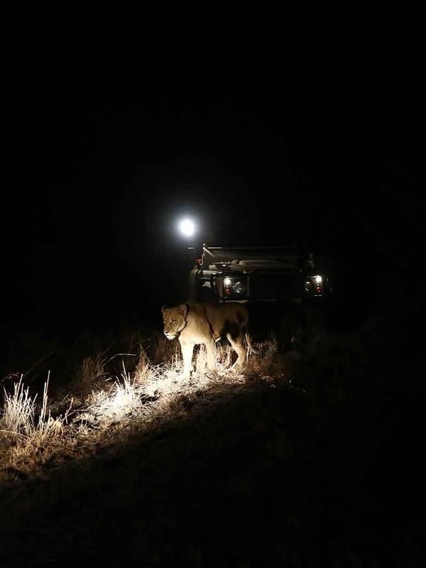 Nsala Wilderness Camp gallery