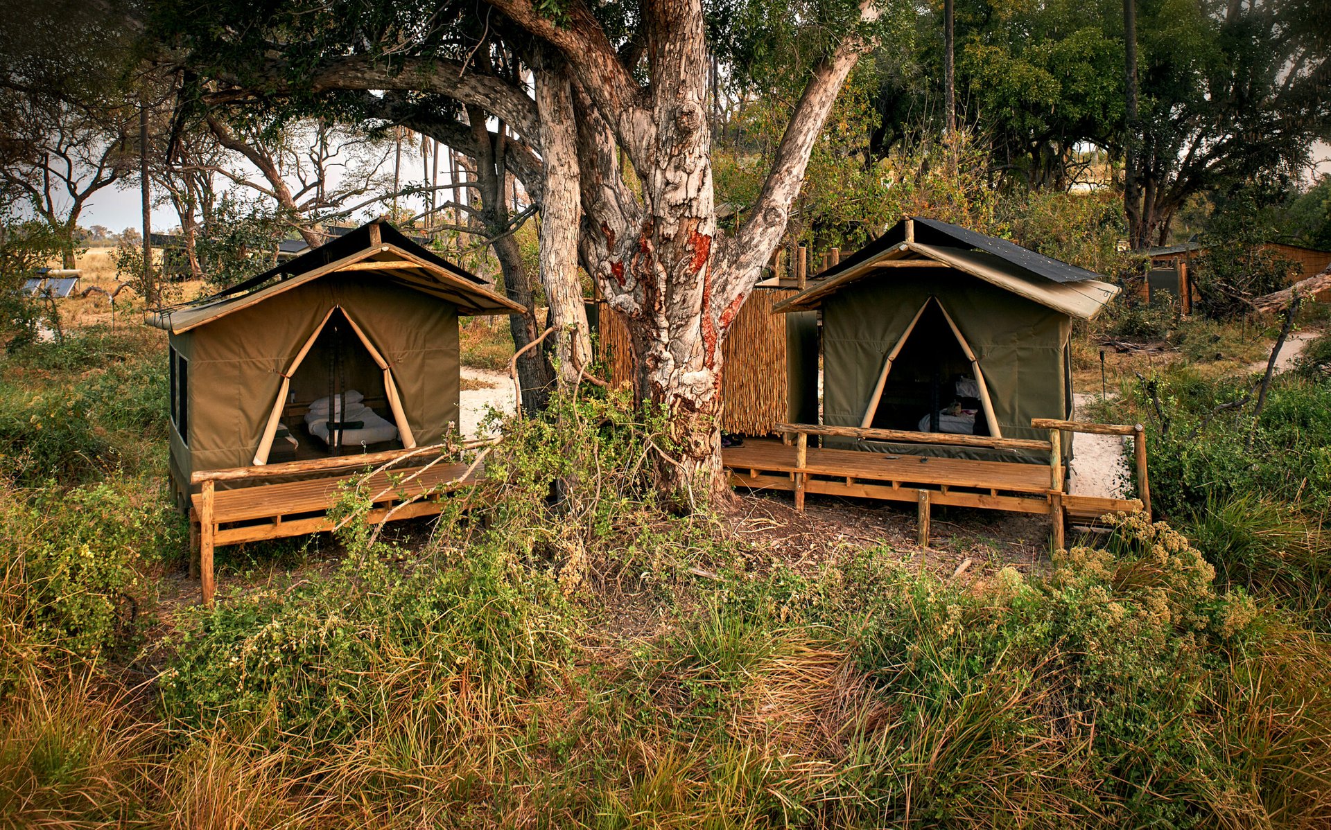 Oddballs' Camp gallery