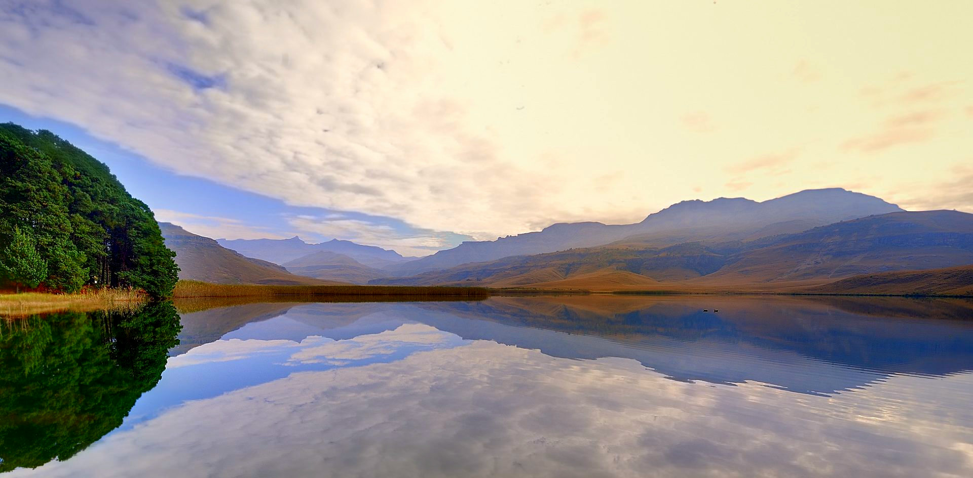 Otter Cove Cottage gallery