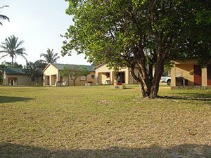 Caravan and Campsites - 1