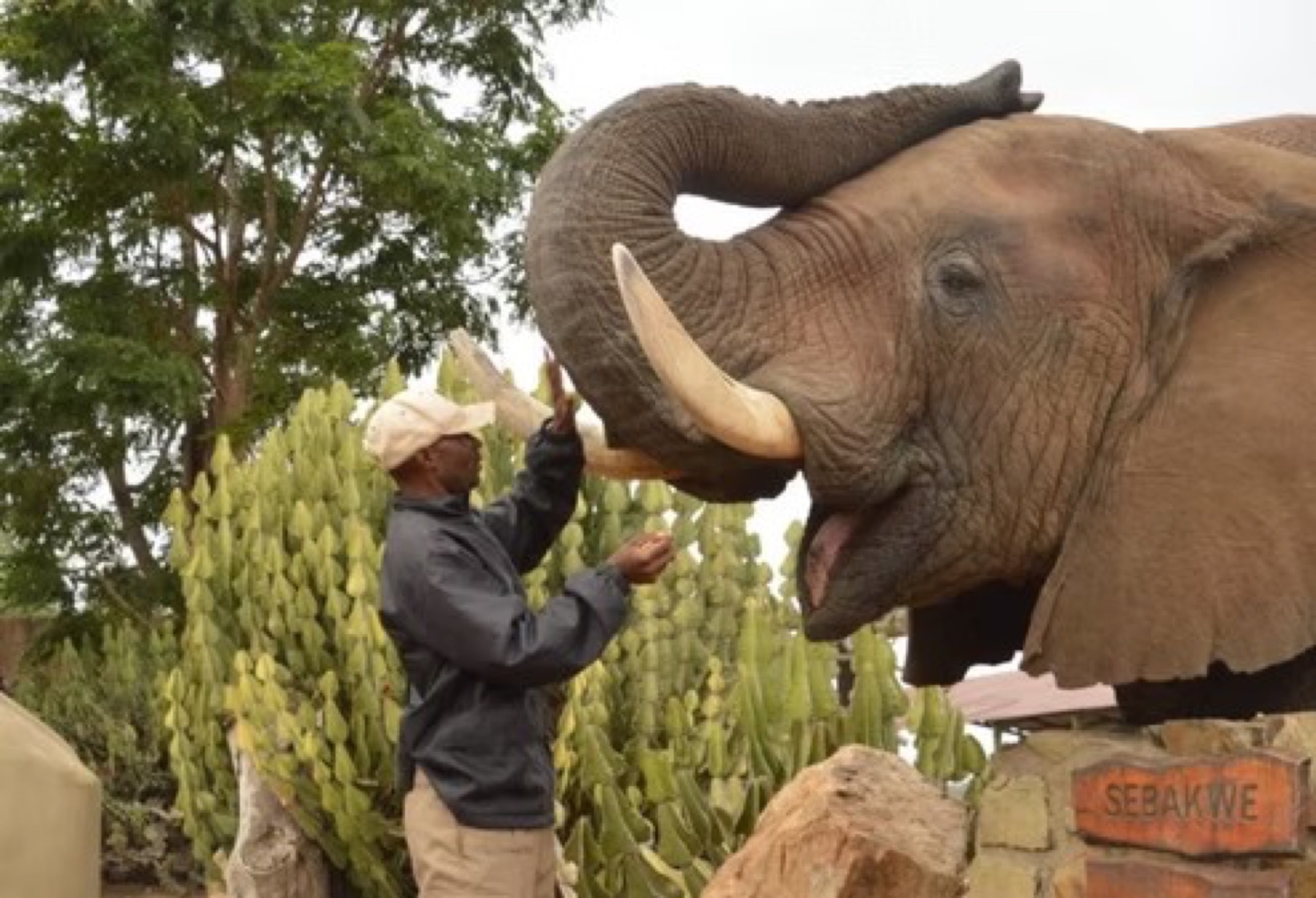 Elephant Moments Sanctuary