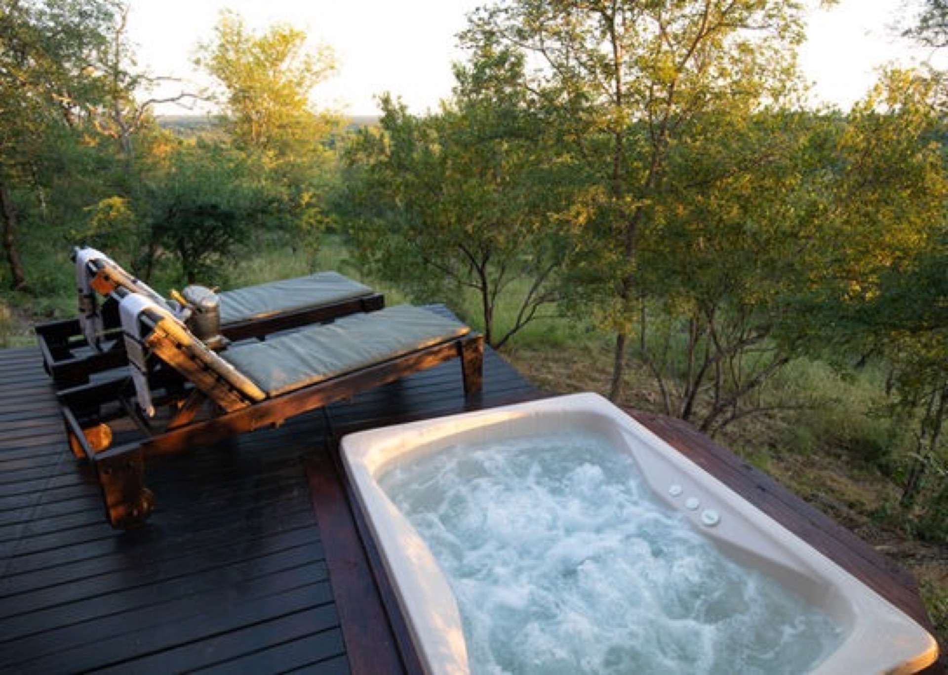 Wellness Treatments