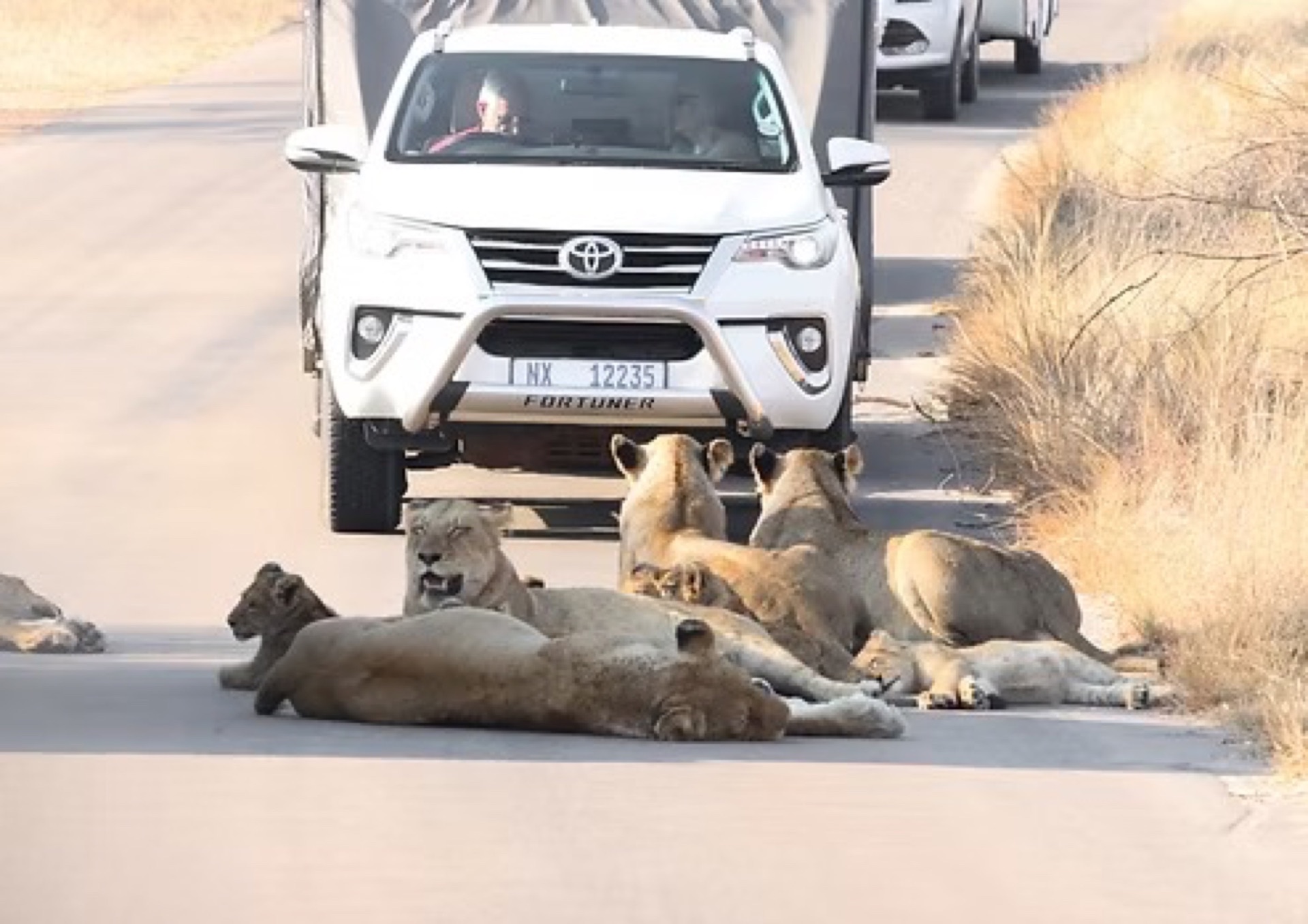 Full Day Kruger Park