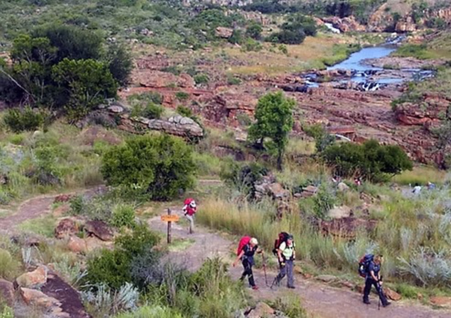 Hippo Trails Walking Tour
