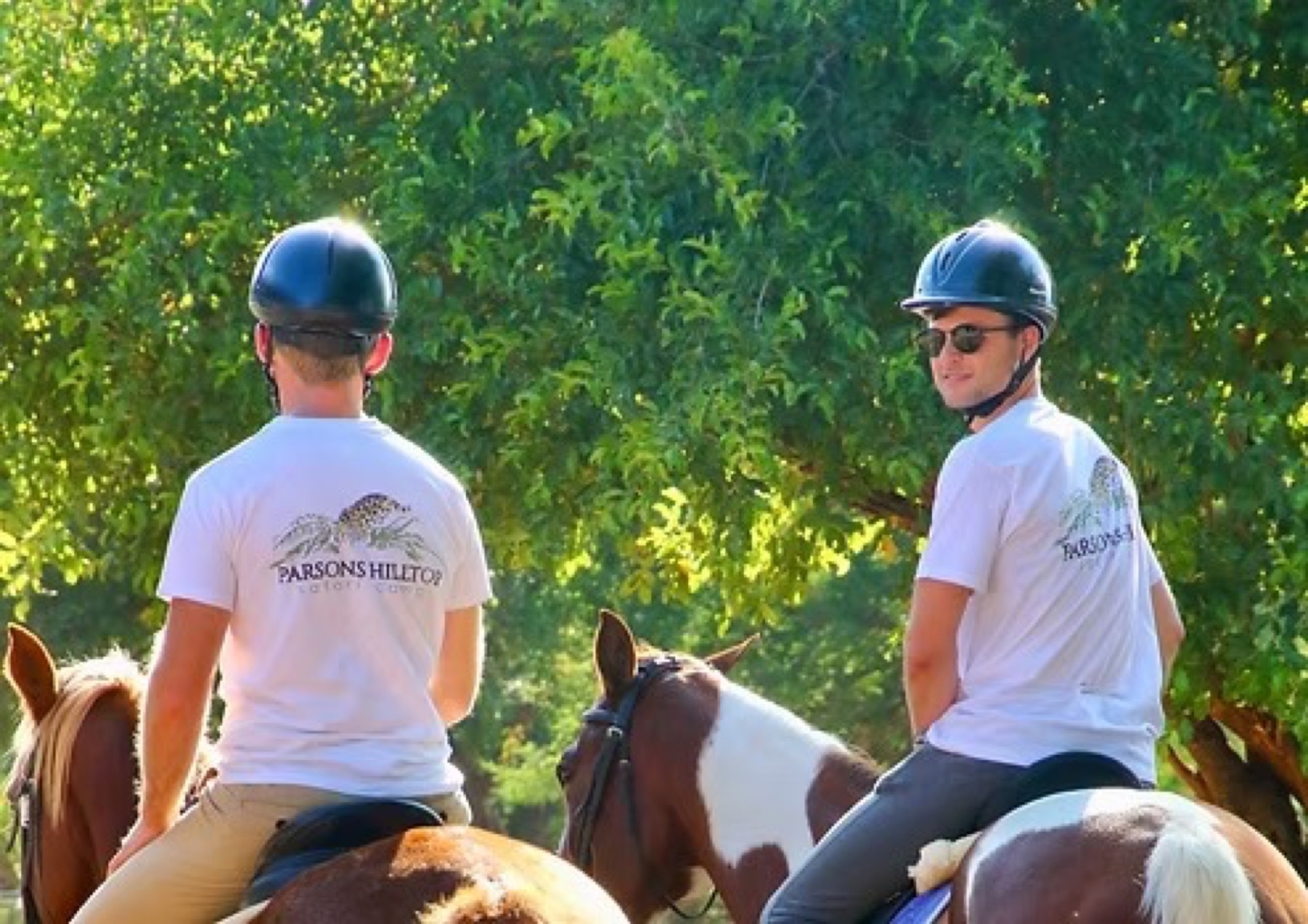 Equine Safaris