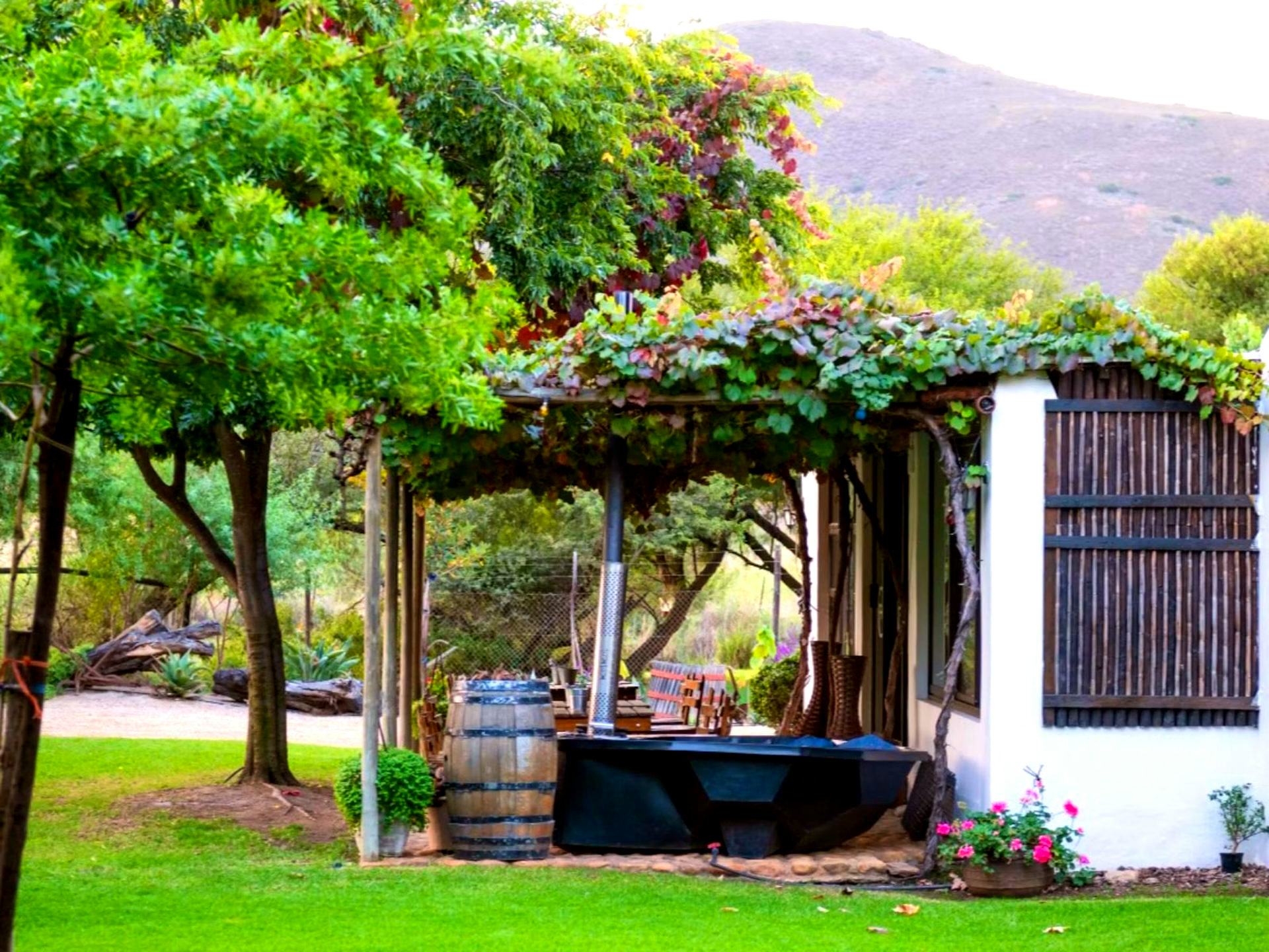 Pinotage House gallery