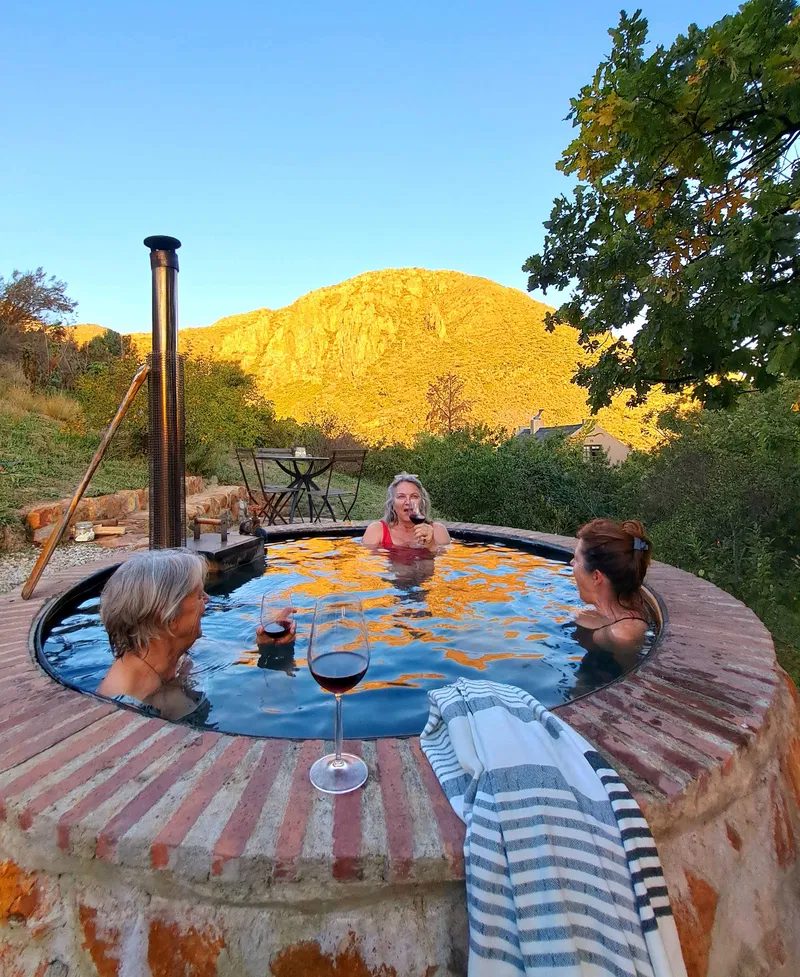 Porcupine Hills Guest and Olive Farm