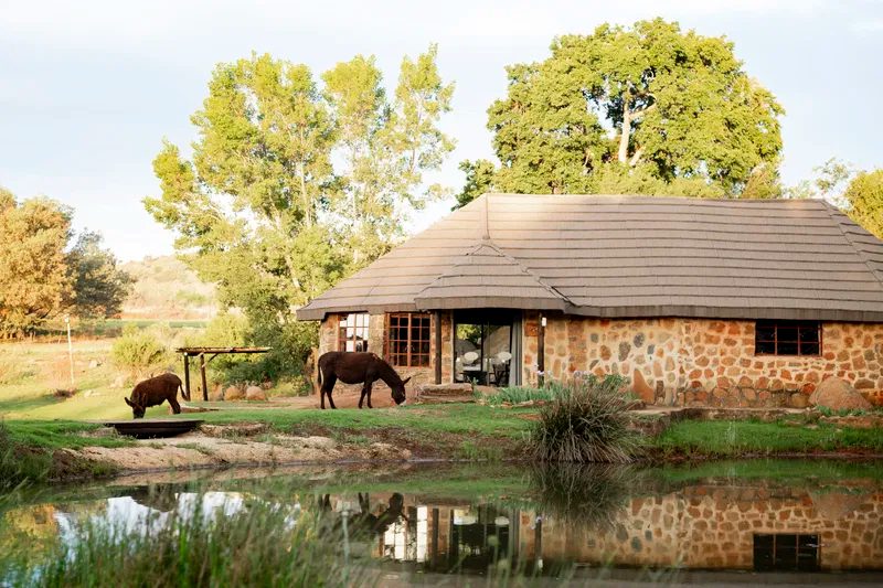 Brown Cottage - 1