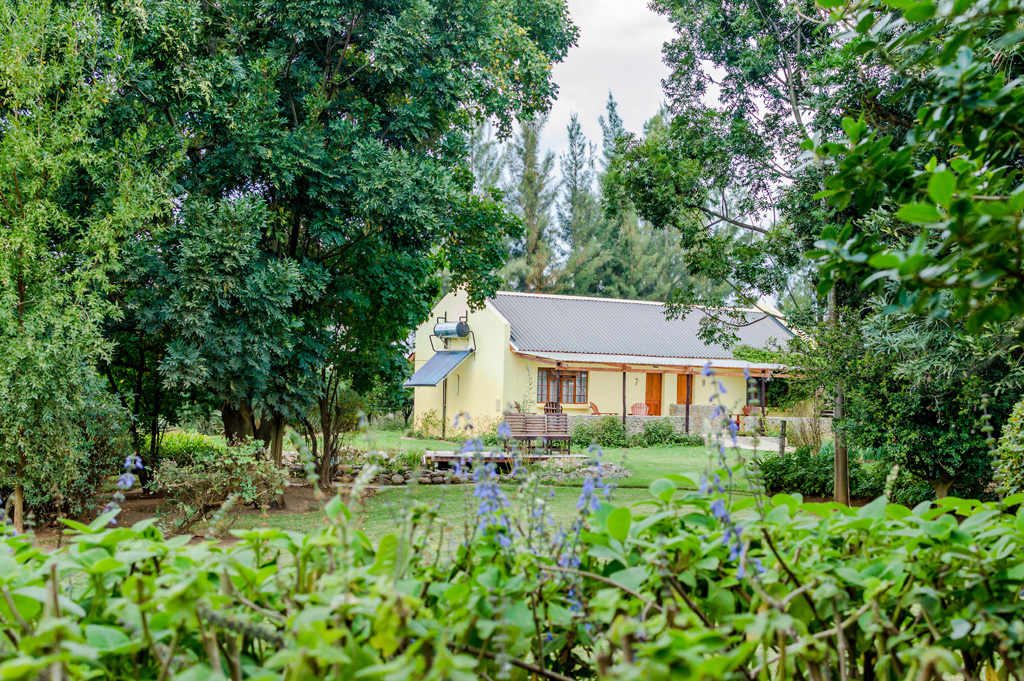Rosedale Organic Farm B&B gallery