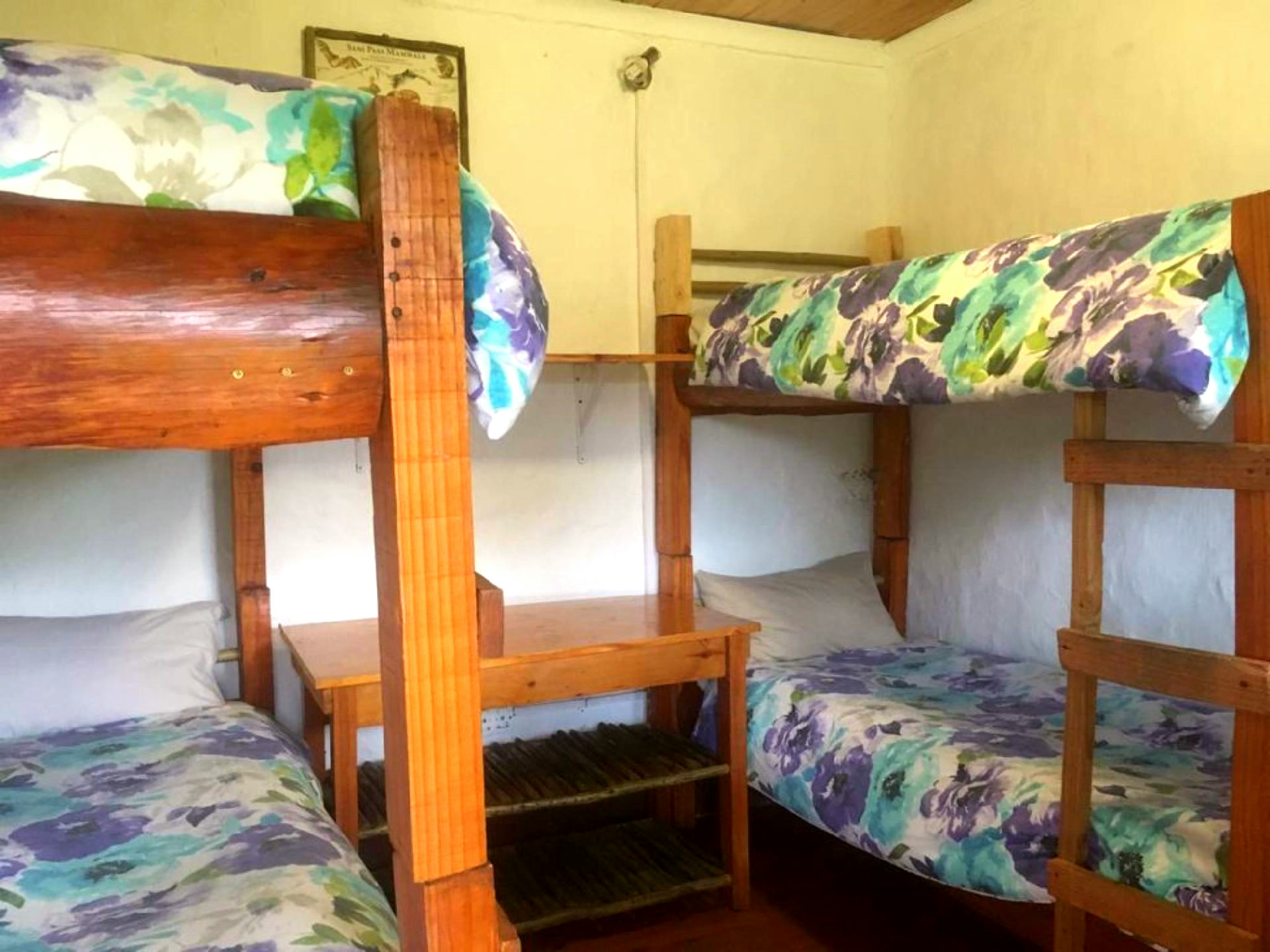 Eland Bunk Room Bed - 1