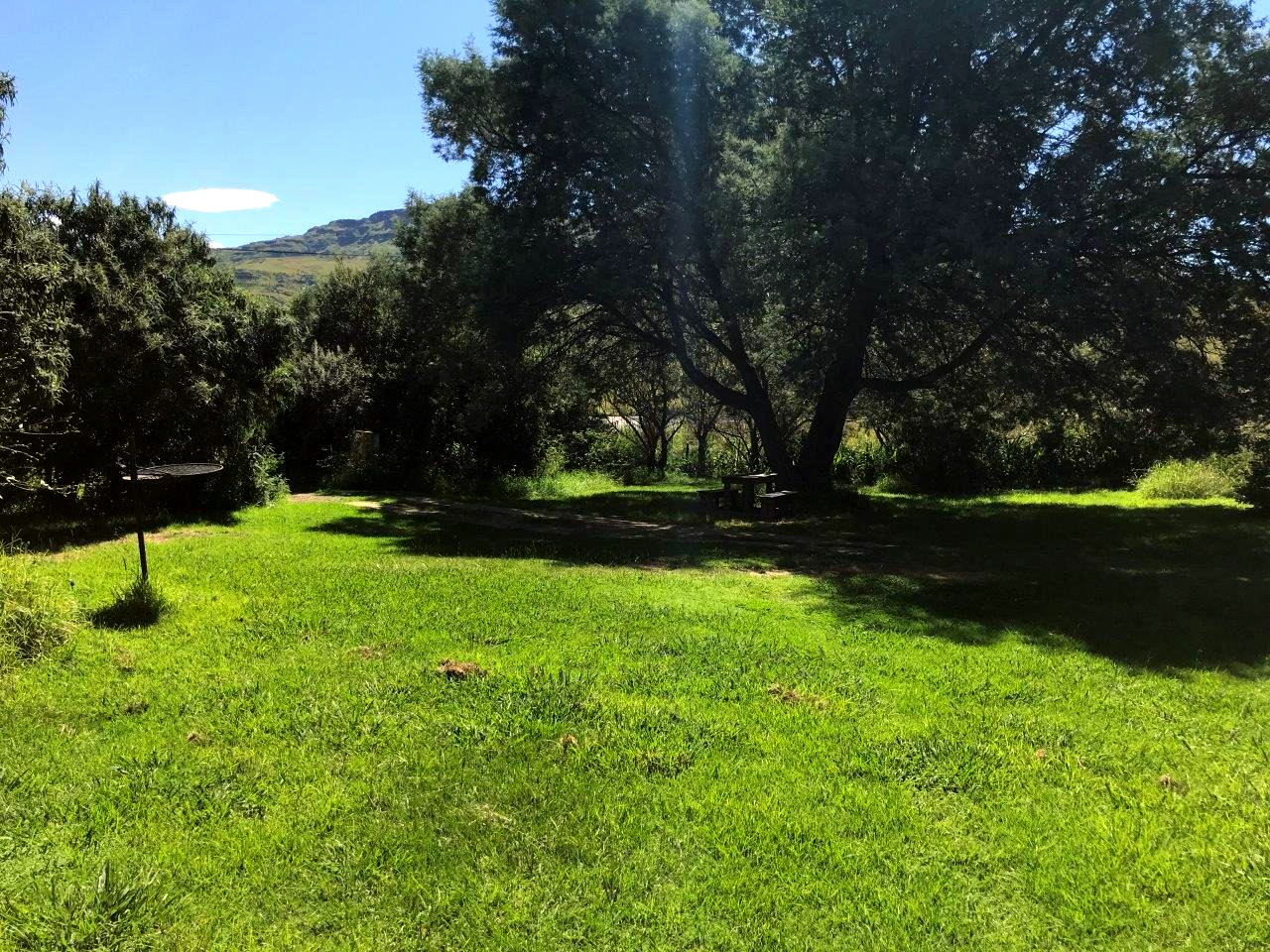 Sani Lodge: Campsites gallery