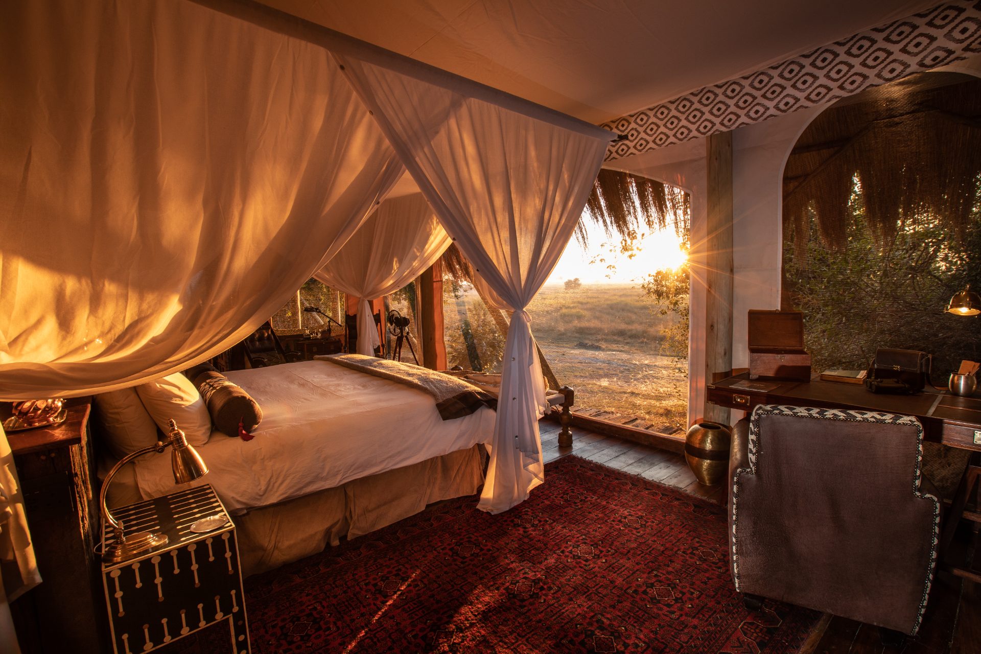 Safari Suite - 1