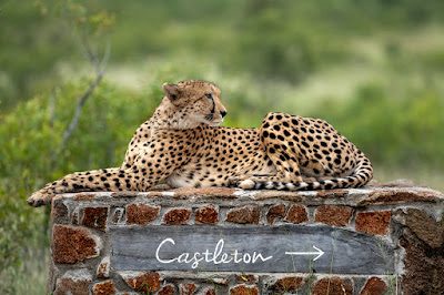 Singita Castleton gallery