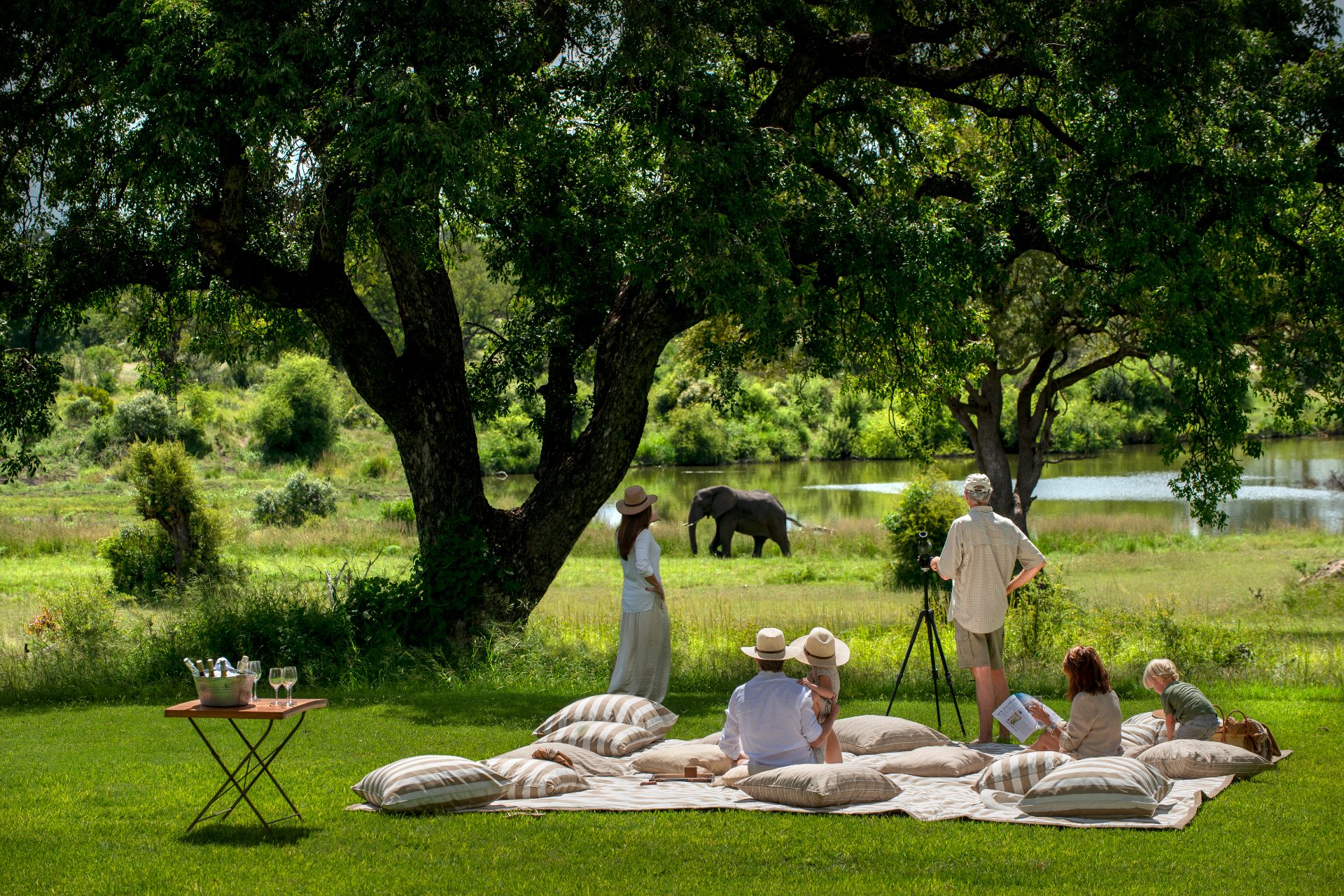 Singita Castleton