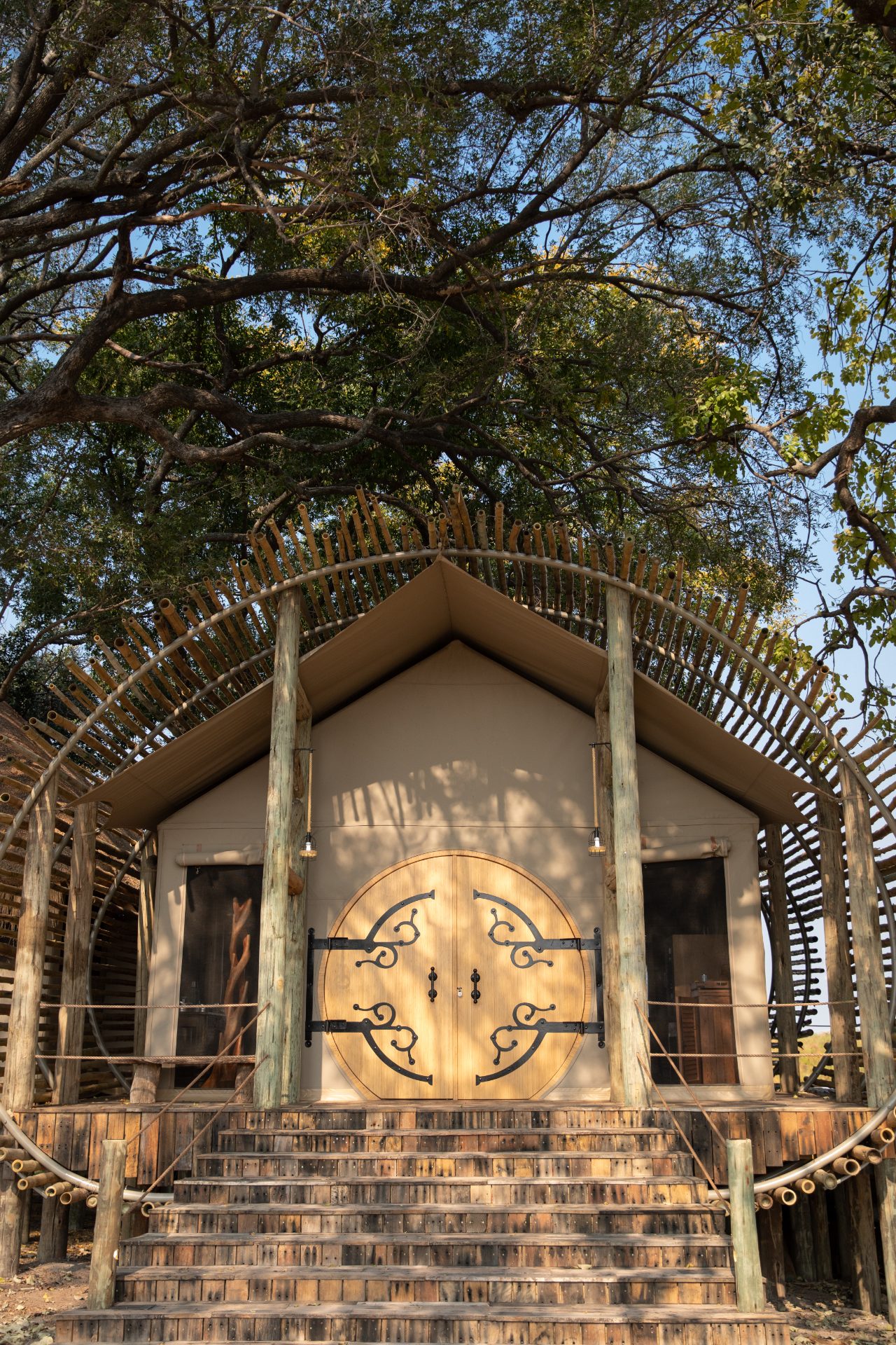 Safari Suite - 1