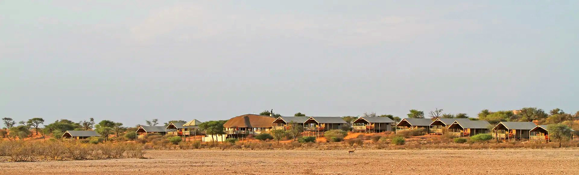 Suricate Kalahari Tented Lodge gallery
