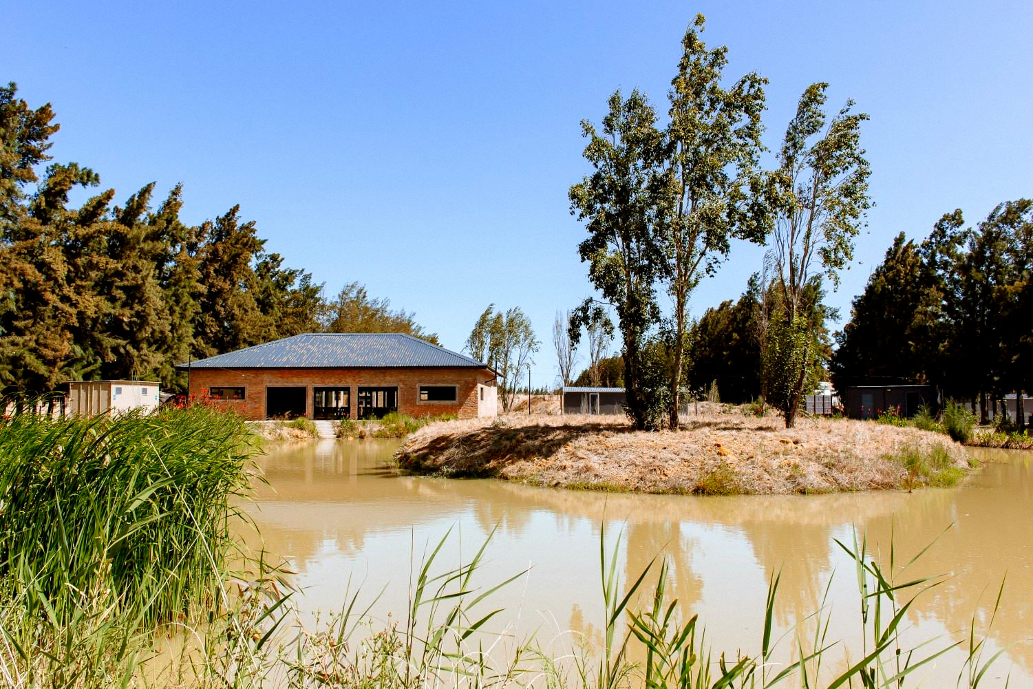 Swamp Donkey Motel