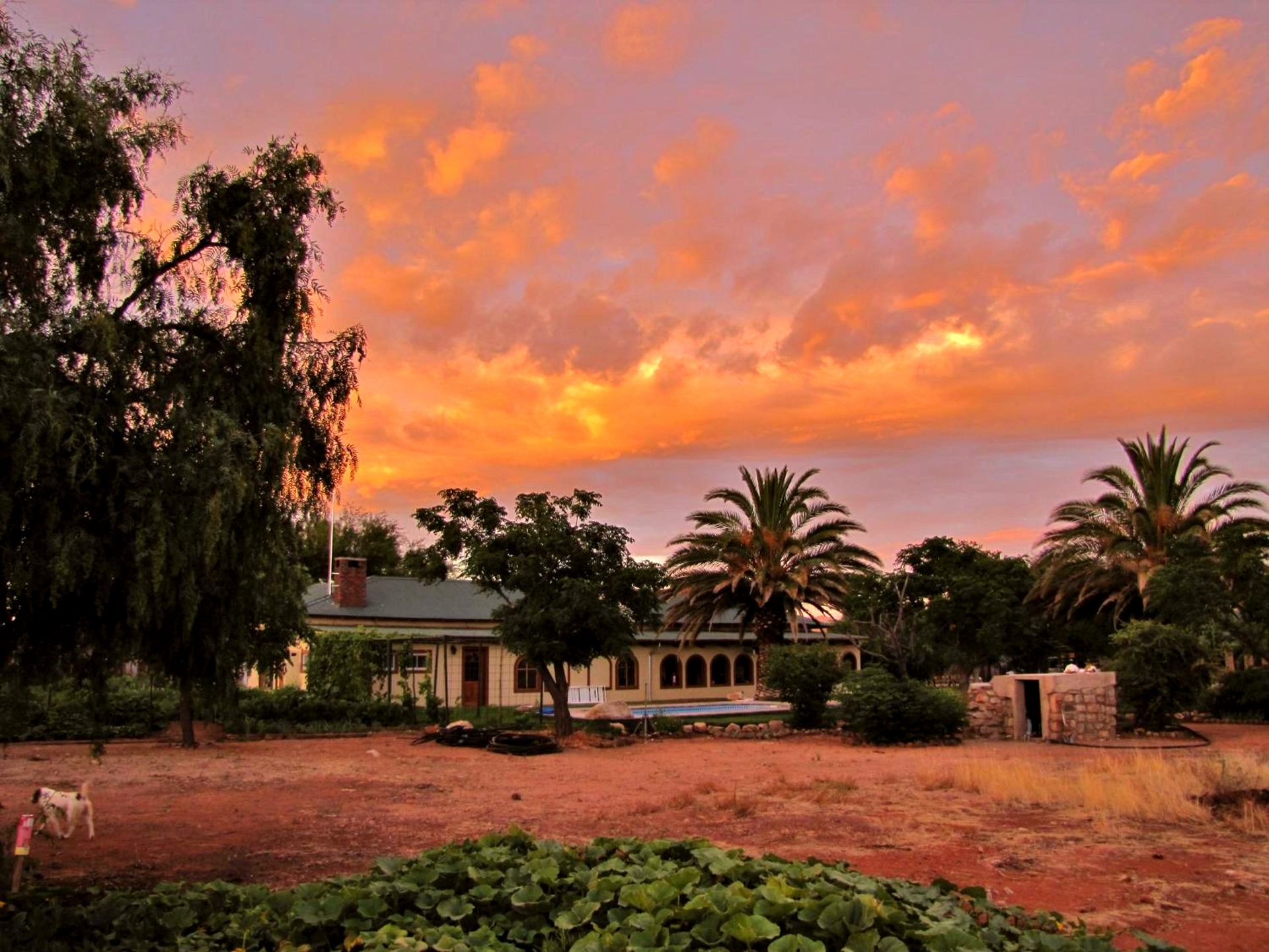 Swartfontein Game & Adventure Lodge gallery