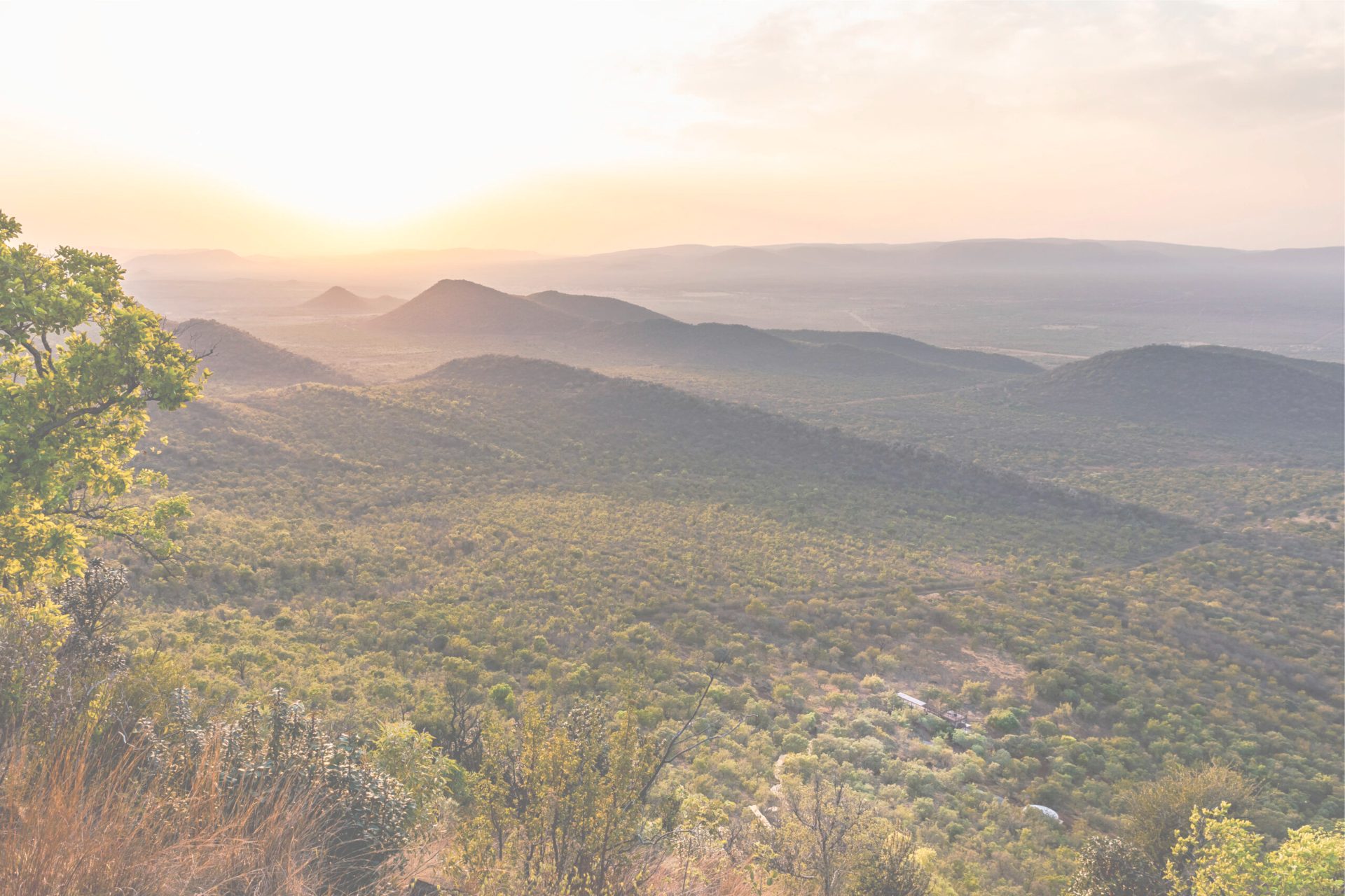 Thaba eNtle Private Boutique Game Farm gallery