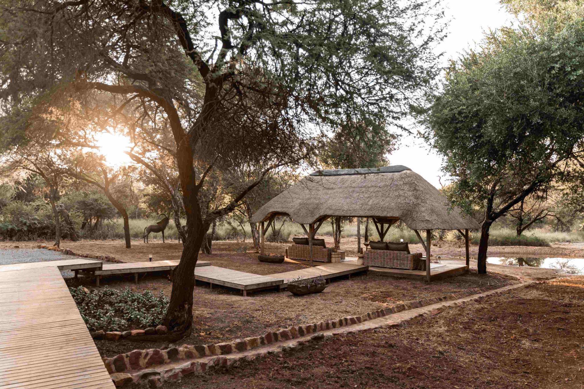 The Bush Suites - 1