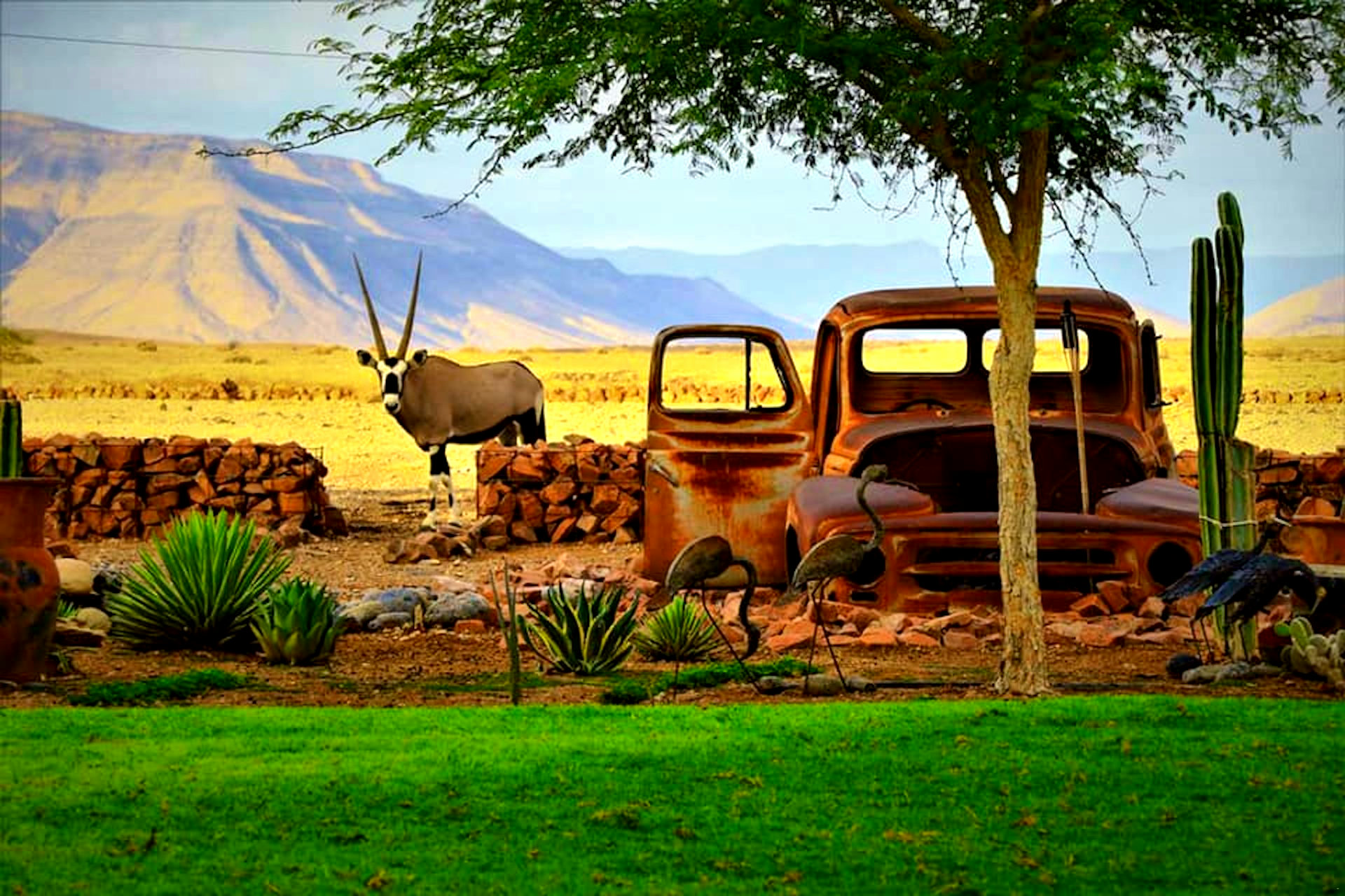 The Elegant Desert Lodge gallery