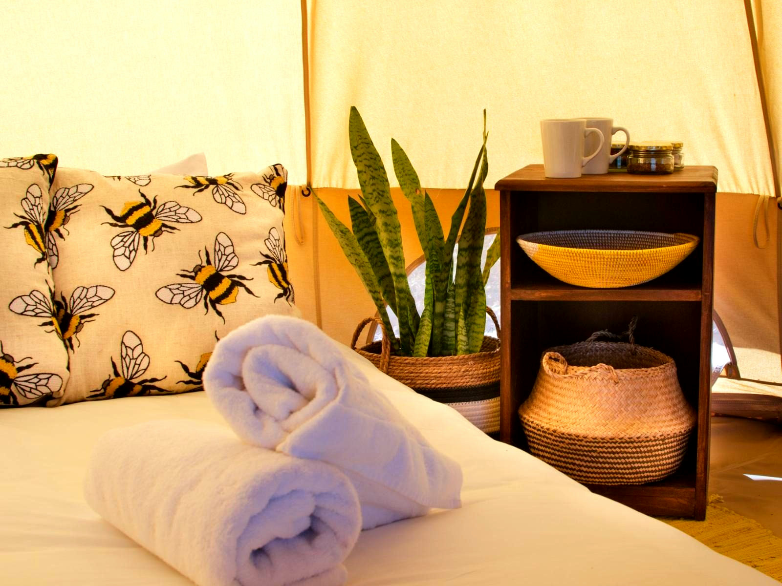 Glamp Site - 1