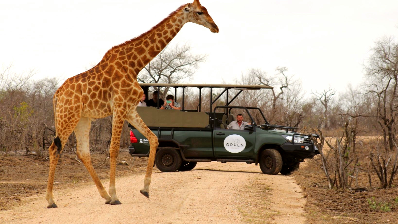 The Orpen Kruger gallery