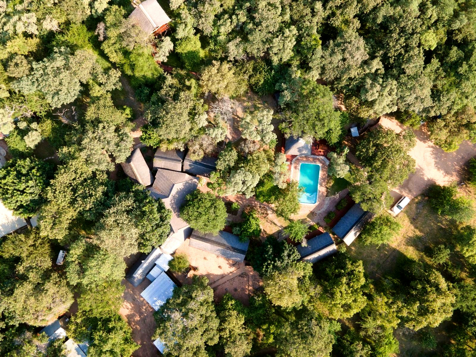 Thornhill Safari Lodge gallery