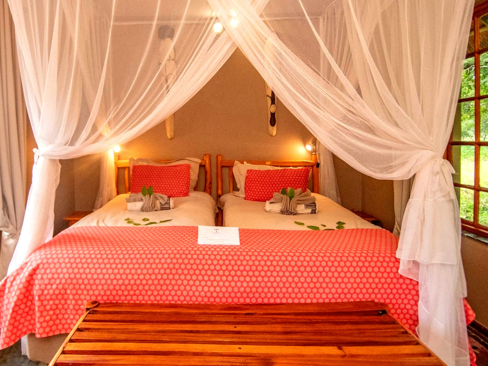 Standard Twin Room - 1