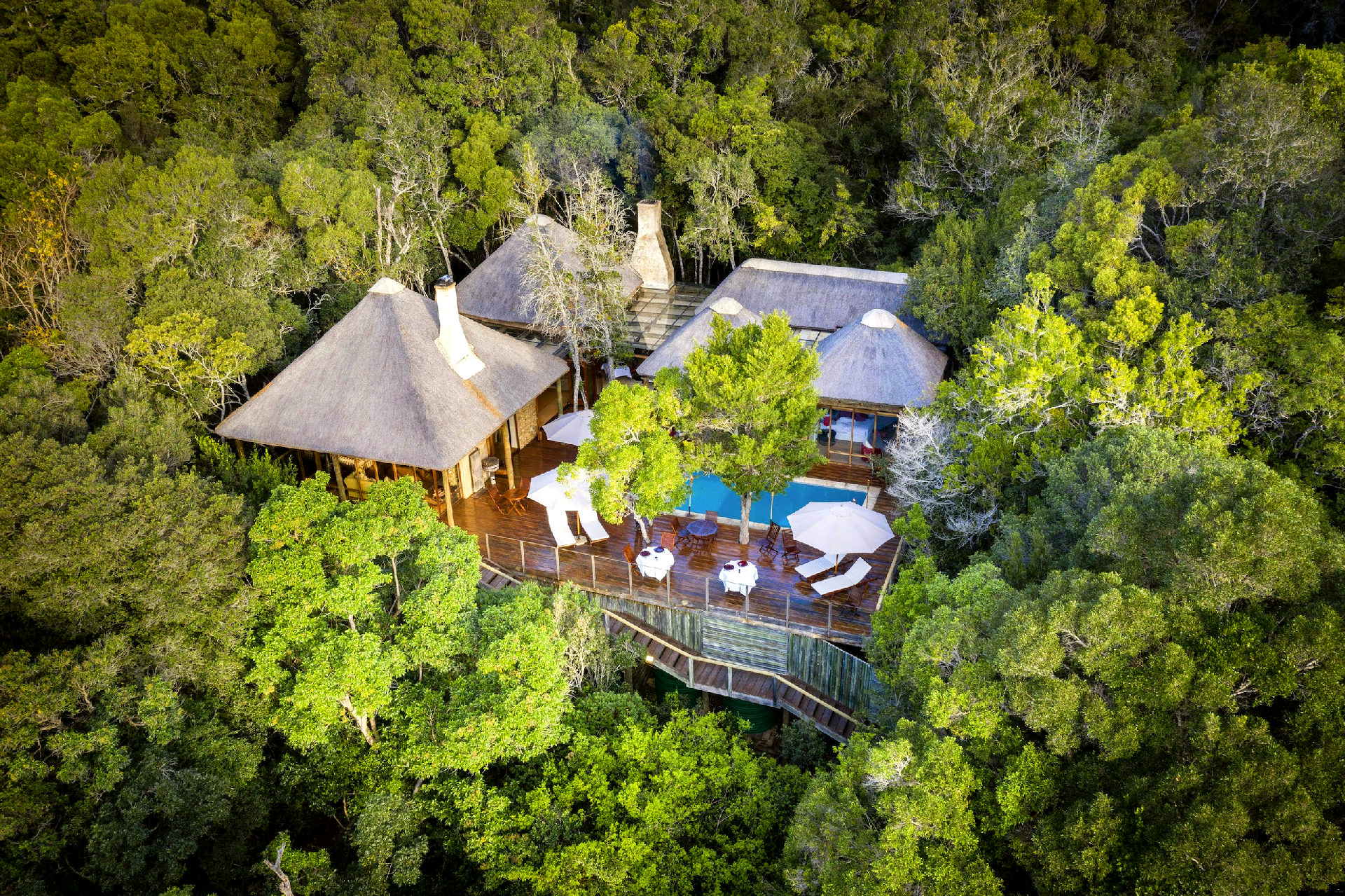 Trogon House and Forest Spa gallery