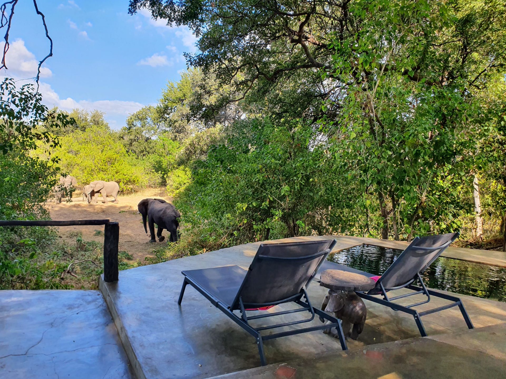Tuli Wilderness gallery