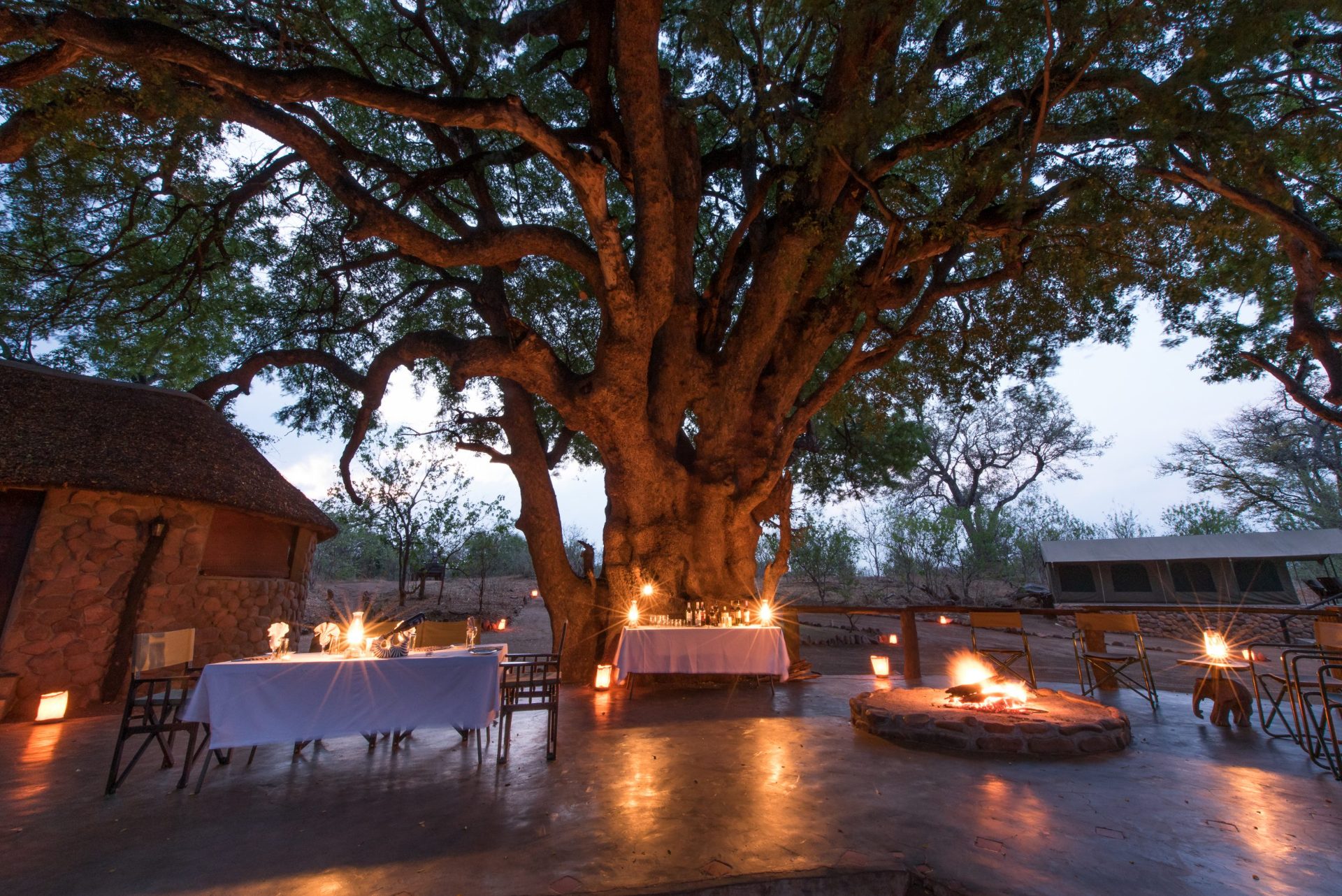 Tuli Wilderness gallery
