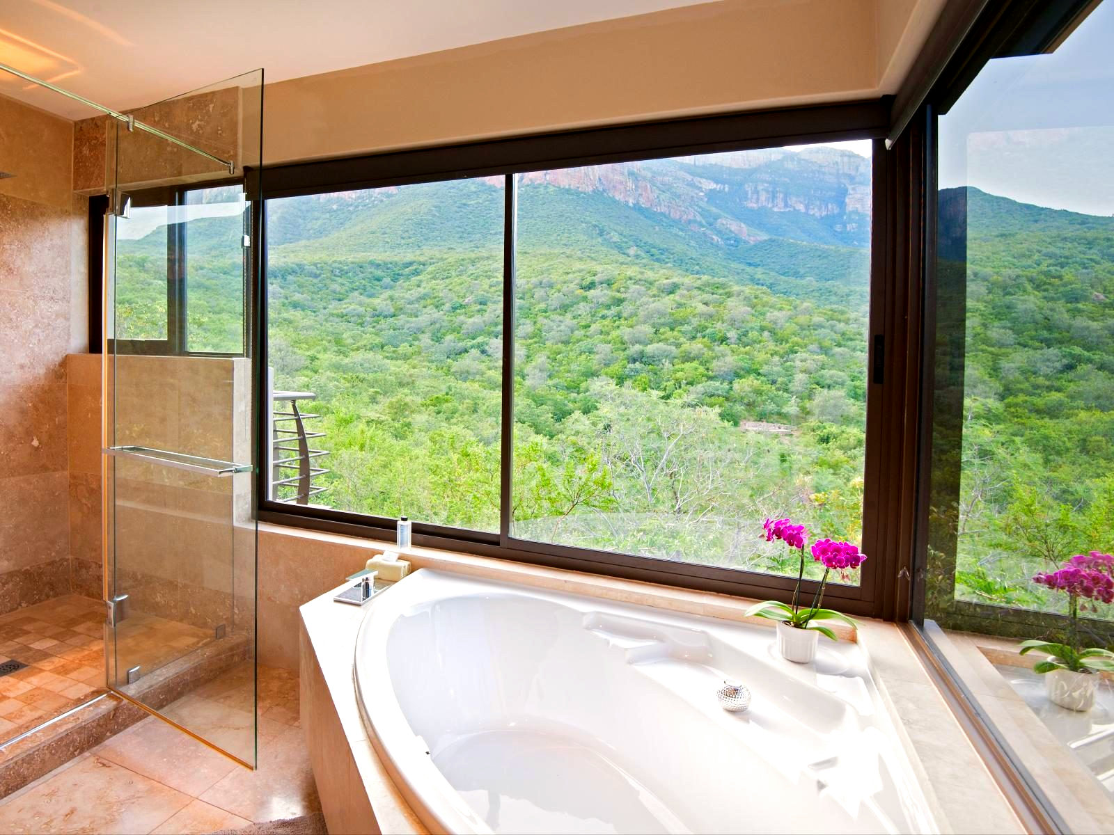 Luxury Mountain View Suite 3 - 1
