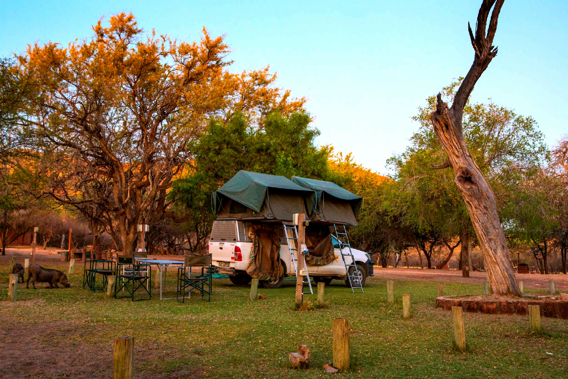Campsite - 1
