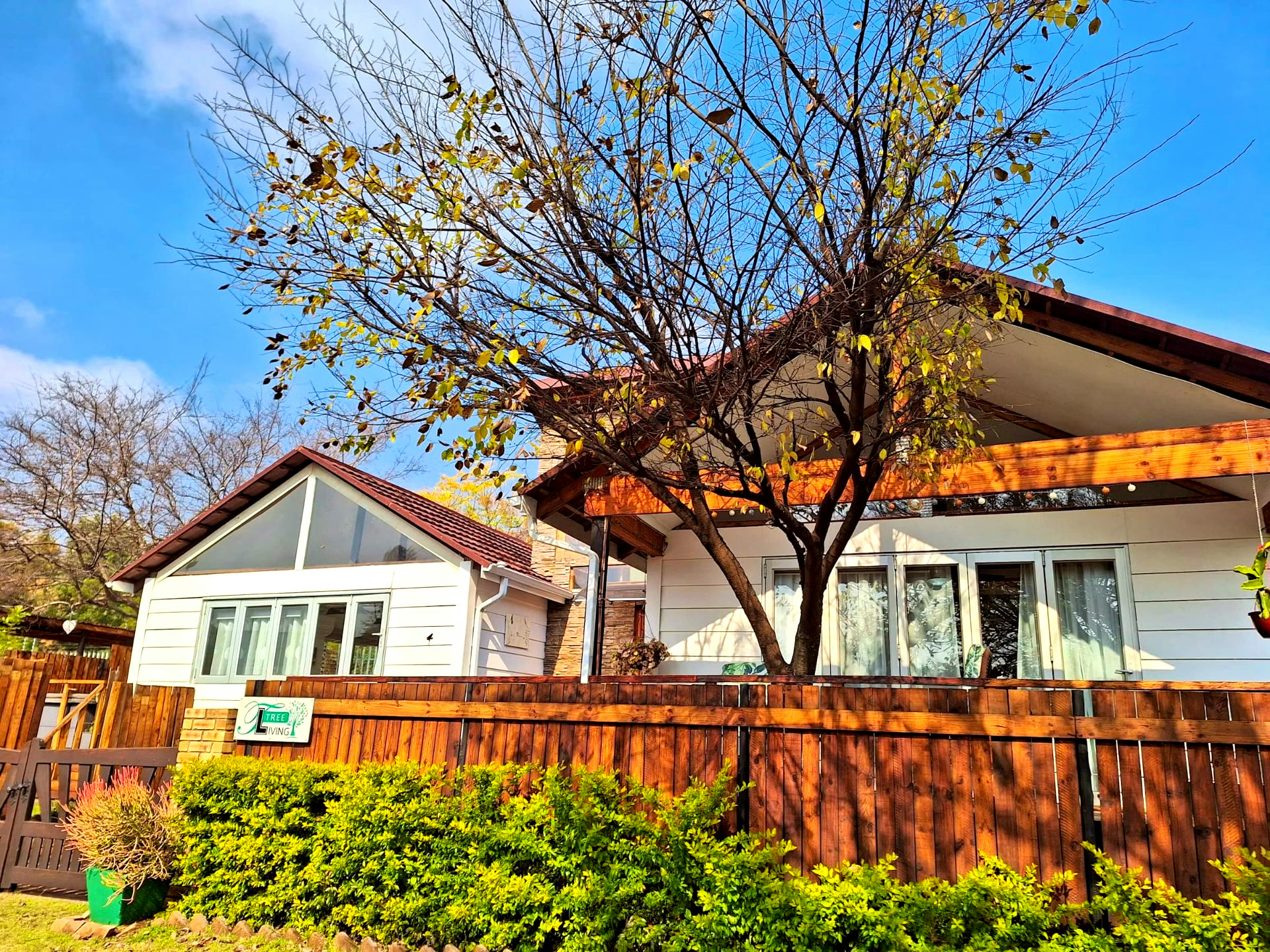 Tree Living - 1