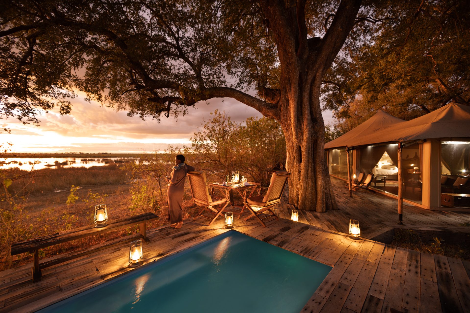 Safari Suite - 1