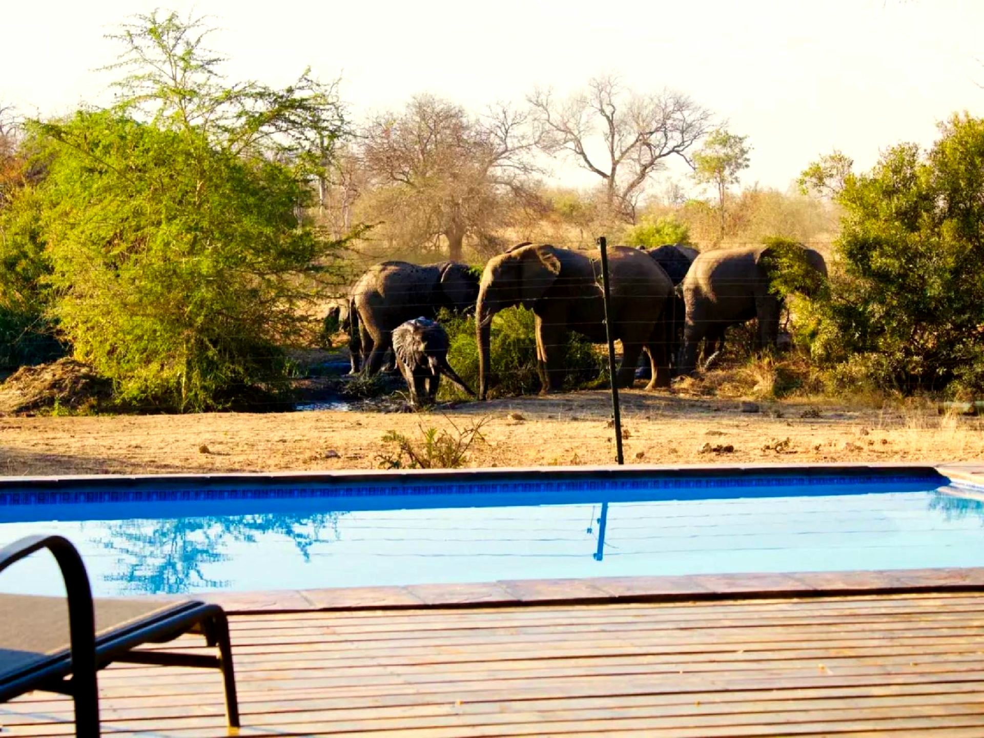 Zazu Private Bush Lodge gallery