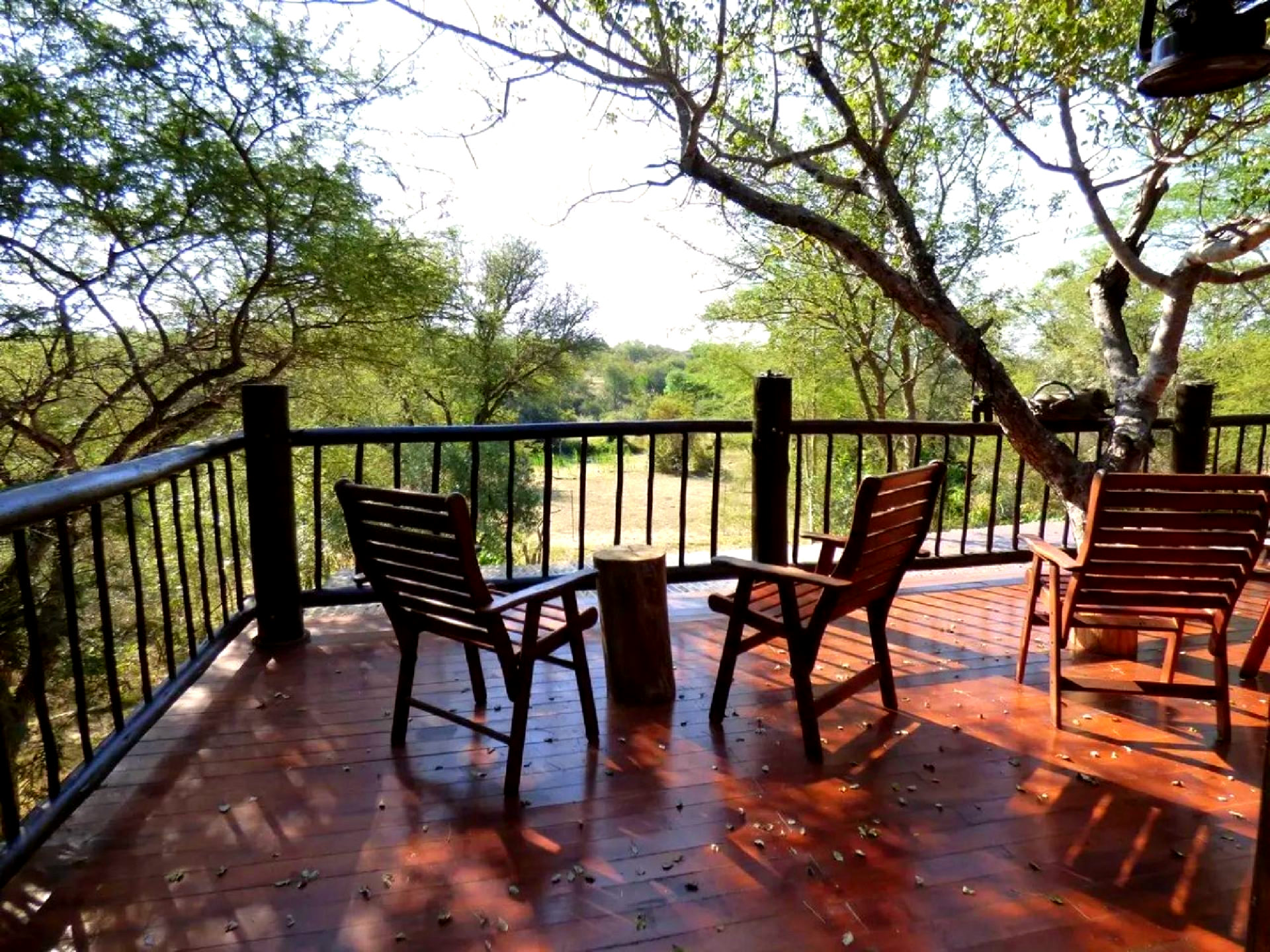 Zazu Private Bush Lodge gallery