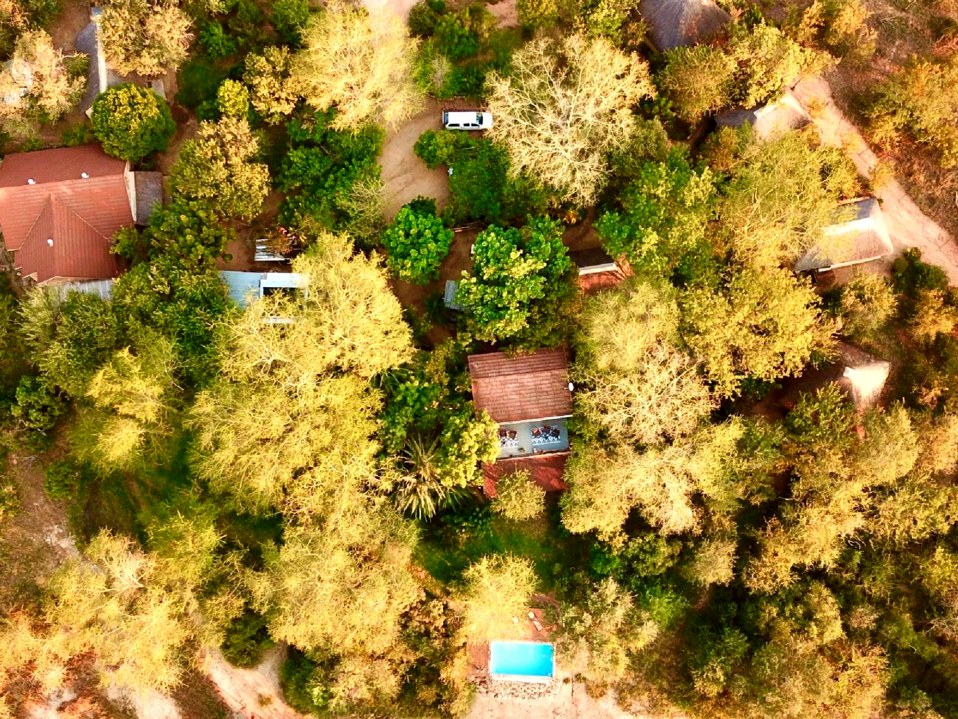 Zazu Private Bush Lodge gallery